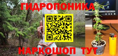 ПСИЛОЦИБИНОВЫЕ ГРИБЫ Апшеронск