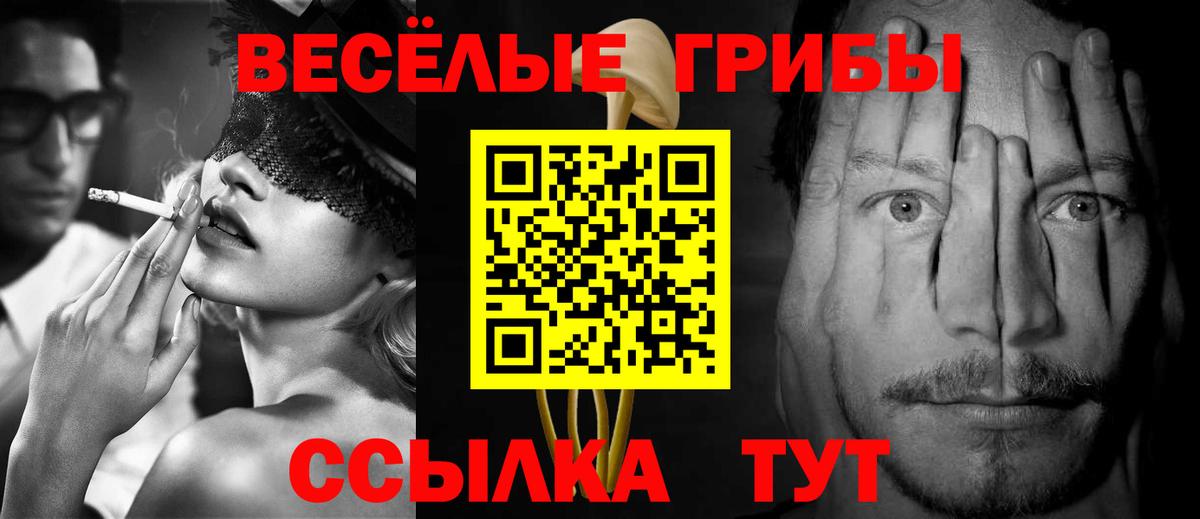 Бугульма  Галлюциногенные грибы Magic Shrooms  Вход с VPN  Псилоцибиновые грибы Psilocybine cubensis 